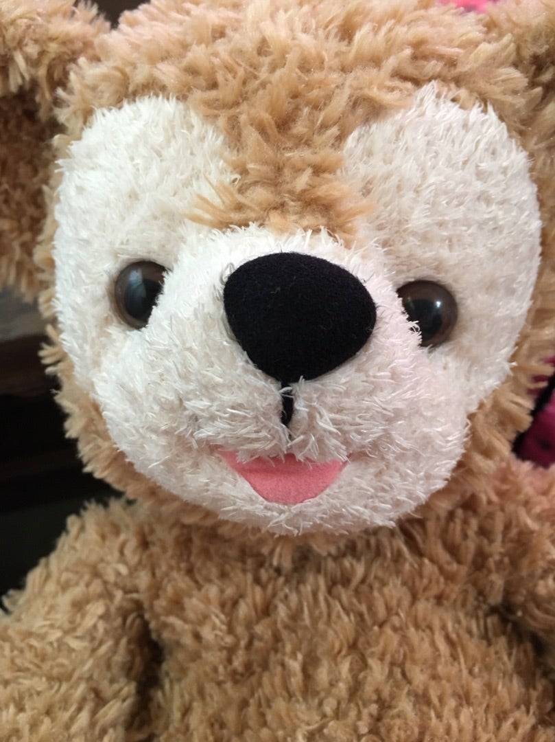 ダッフィーの手術！瀕死のダッフィーのワタの入れ替えと目の傷治し