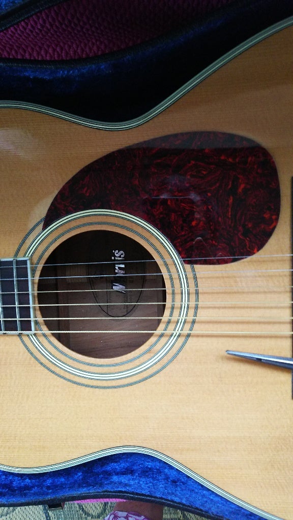 Morris MF-60ハカランダモデルギター | ゆずマンのギター説明ブログ