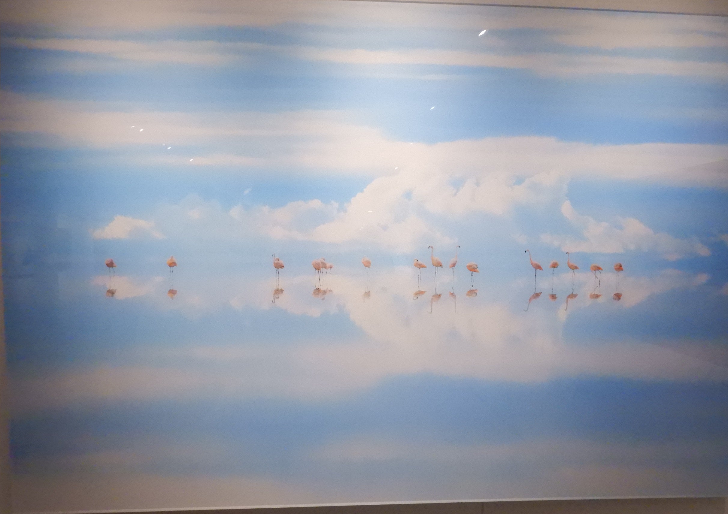 高砂淳二「PLANET of WATER」など写真展いくつか | かんでぃんすきぃの