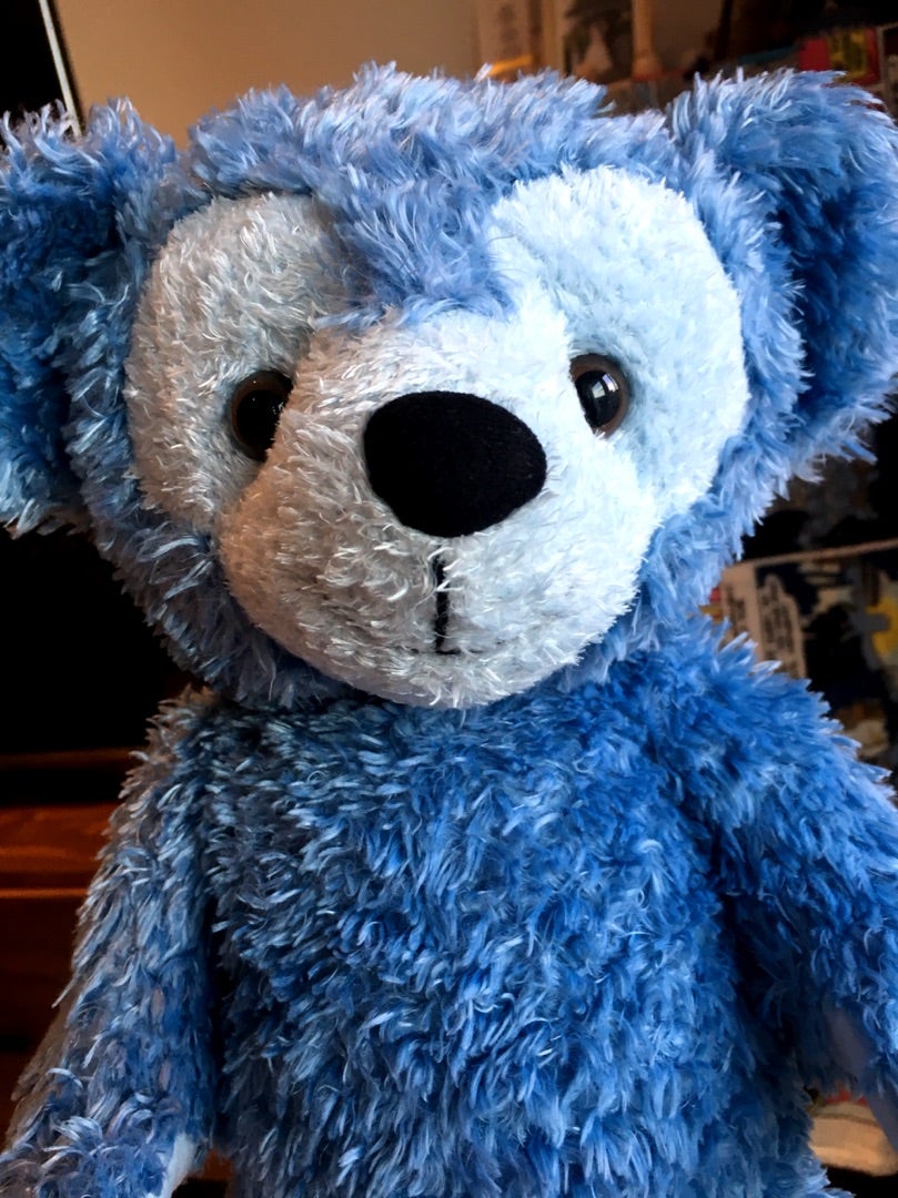 心臓が止まりそうになった。憧れていた彼と出会う。WDWディズニーベア