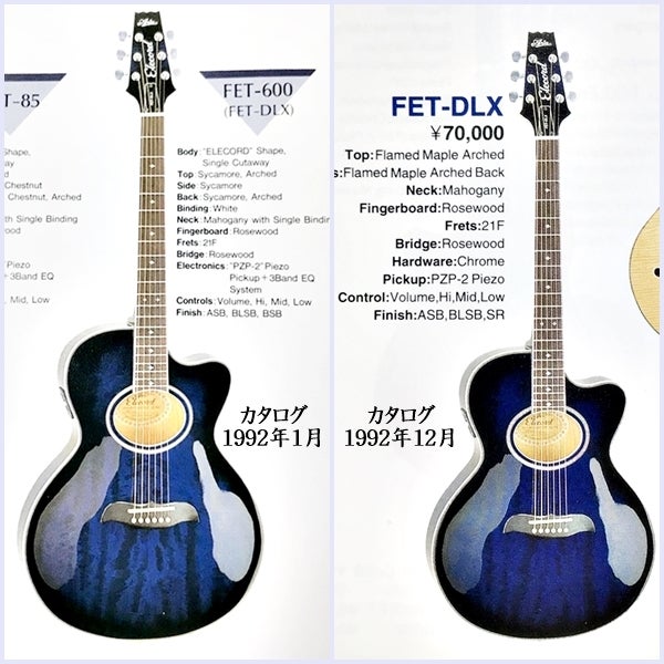 楽器 Aria Elecord FET-DLX | 宮本忠博の趣味ブログ