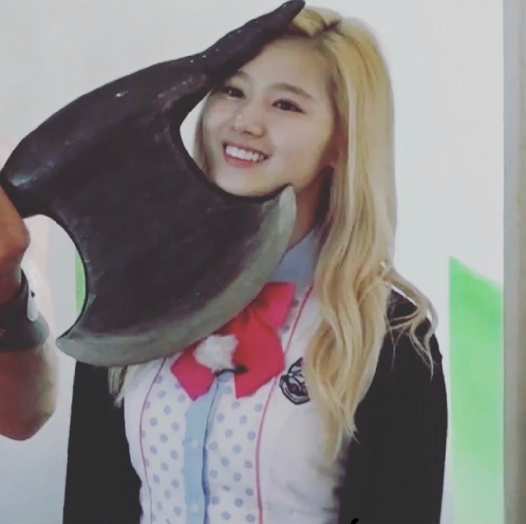 ペン卒】TWICEに感謝してもしきれない！ 今までありがとう