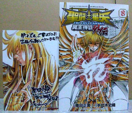 聖闘士星矢 THE LOST CANVAS 冥王神話 外伝 8巻 (手代木史織 少年