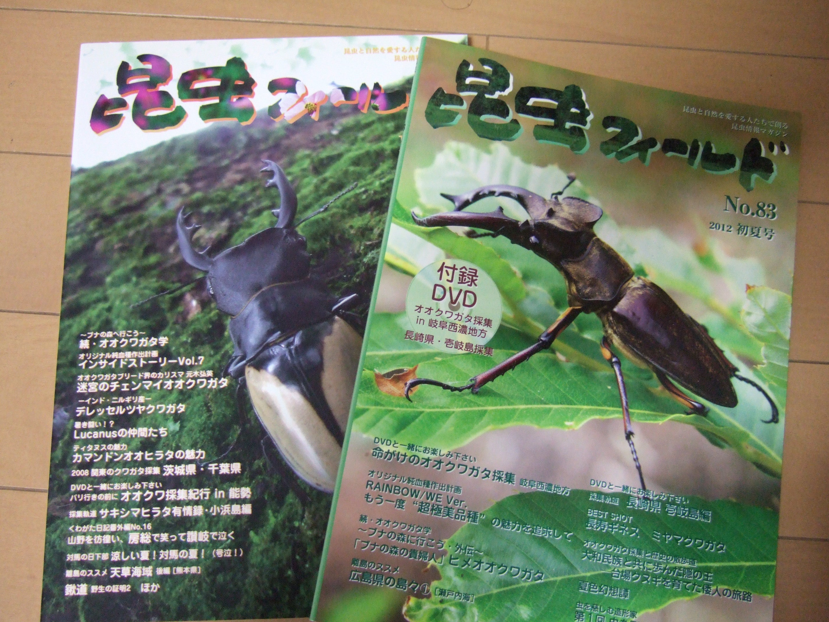 o2848213614587098797.jpg?caw=800