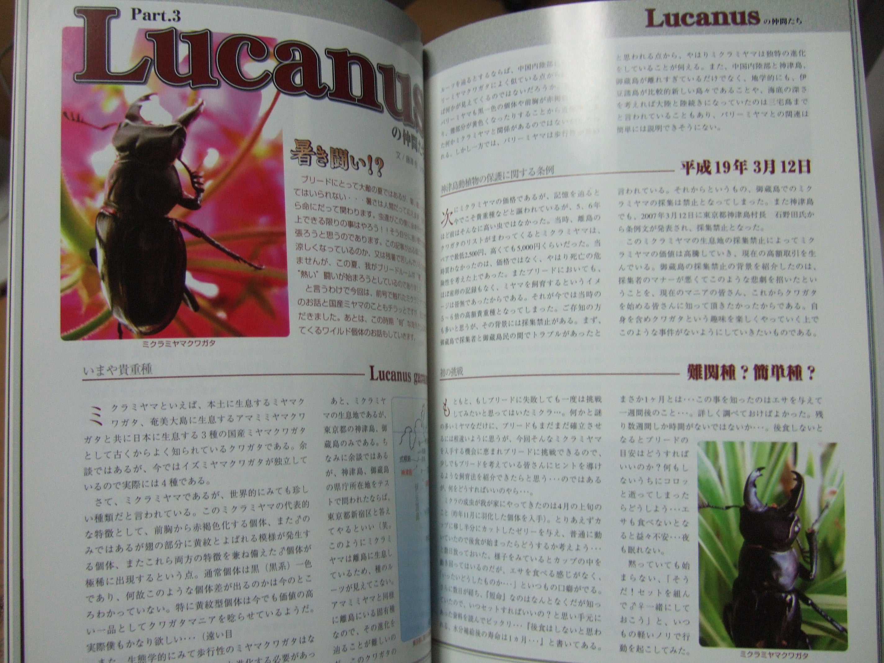 昆虫フィールドを買ってみました！ | kuwa-yanagawaのクワガタ日記