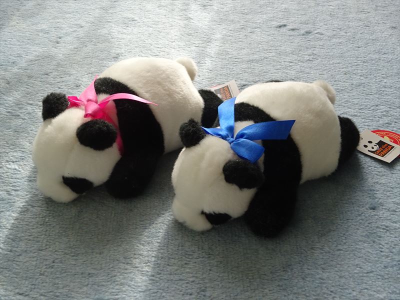 パンダぬいぐるみの変遷 | パックンパンダのブログ