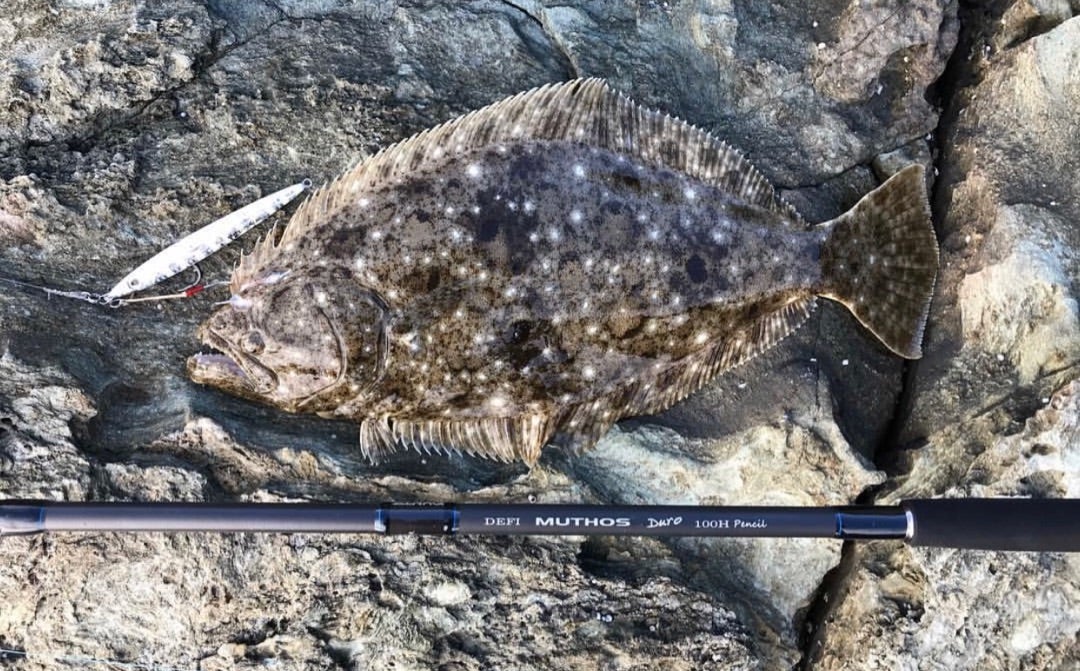 Duro 100h pencil （デゥーロ 100h ペンシル）とやら 〜最近のロック