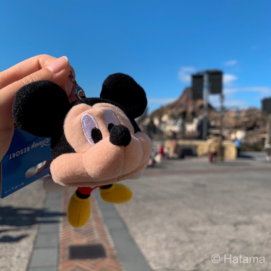 ぬい撮りに使える？ファンキャップキーチェーン | Hatama Official Blog