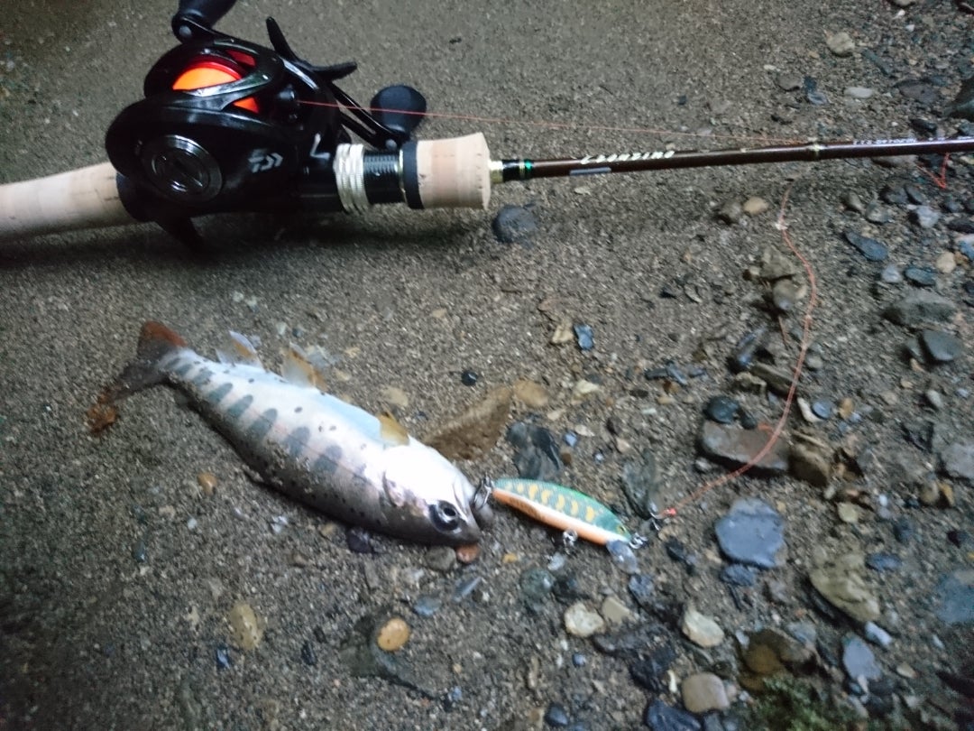 別世界へ…五家荘渓流ルアーフィッシング | FlyFisher HIROの釣行記