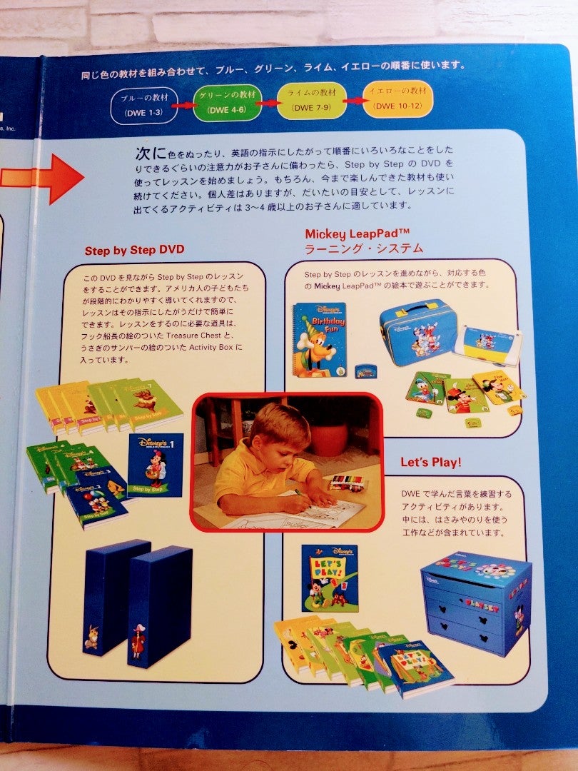 DWE】公式ガイドブックに沿った1からの進め方。DWE成功ユーザーの