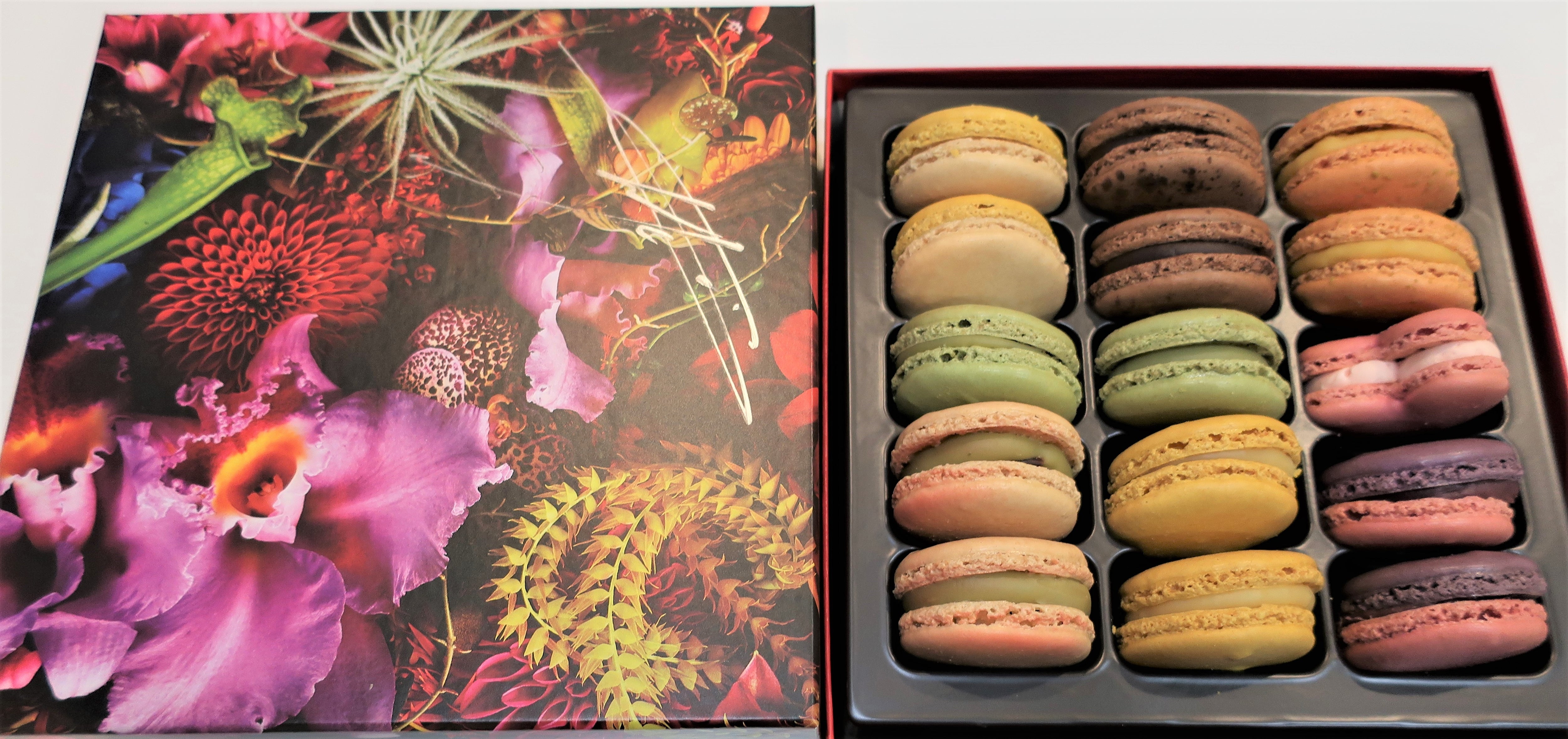 塗るボツリヌストキシンでしわが消える…？ | 美容皮膚科・Dr.MISAKOの