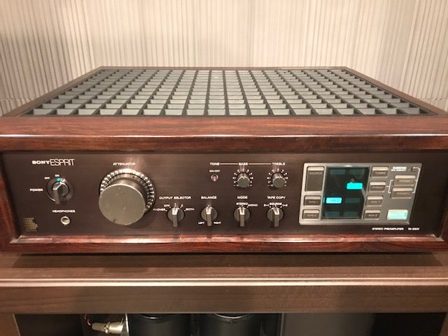 SONY TA-E901 | むらさんの人生の楽園