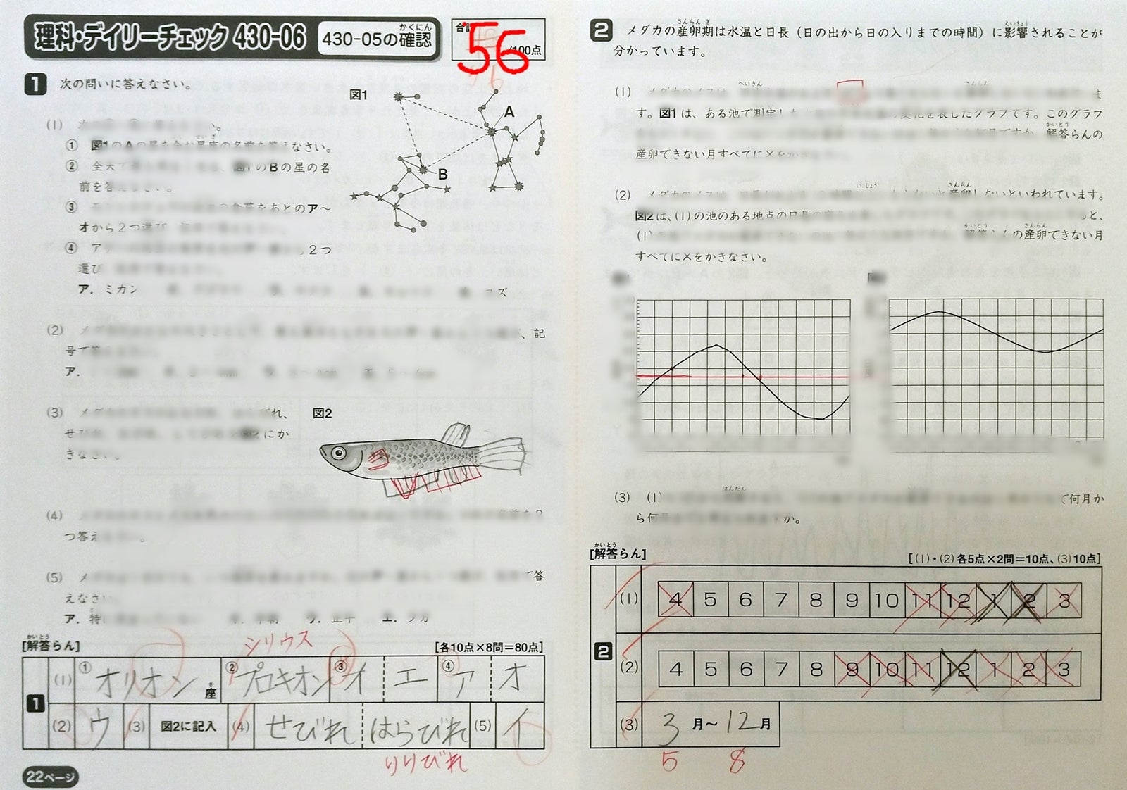 430, 440-05 理科・社会デイリーチェック 確認テスト | 息子@2022中受