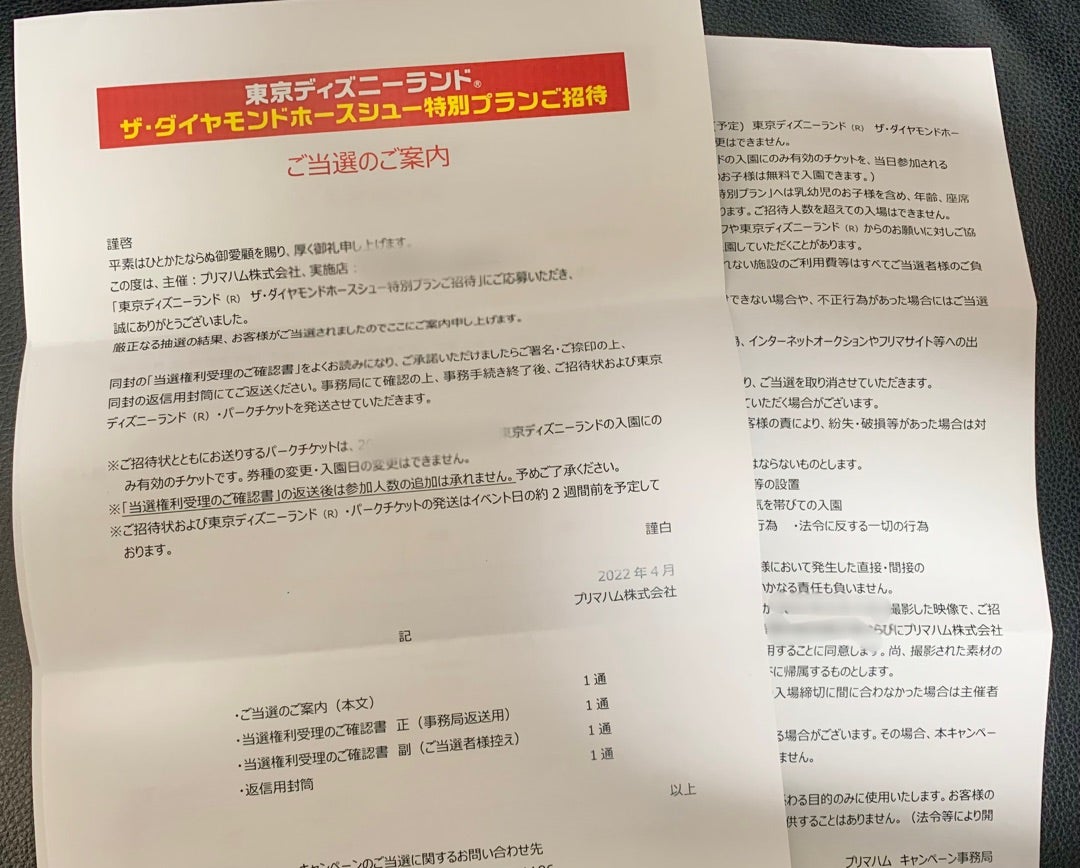 当選品 ダイヤモンドホースシュー | リトルプリンセスママのブログ