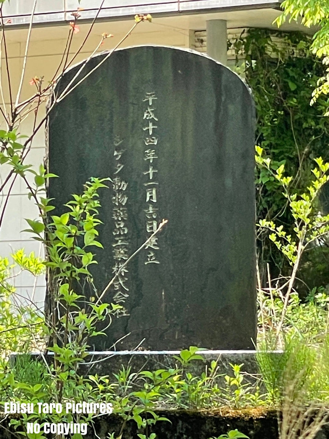 ゑびすたろうの廃墟探訪・富山県小矢部市(シゲタ動物薬品工業跡