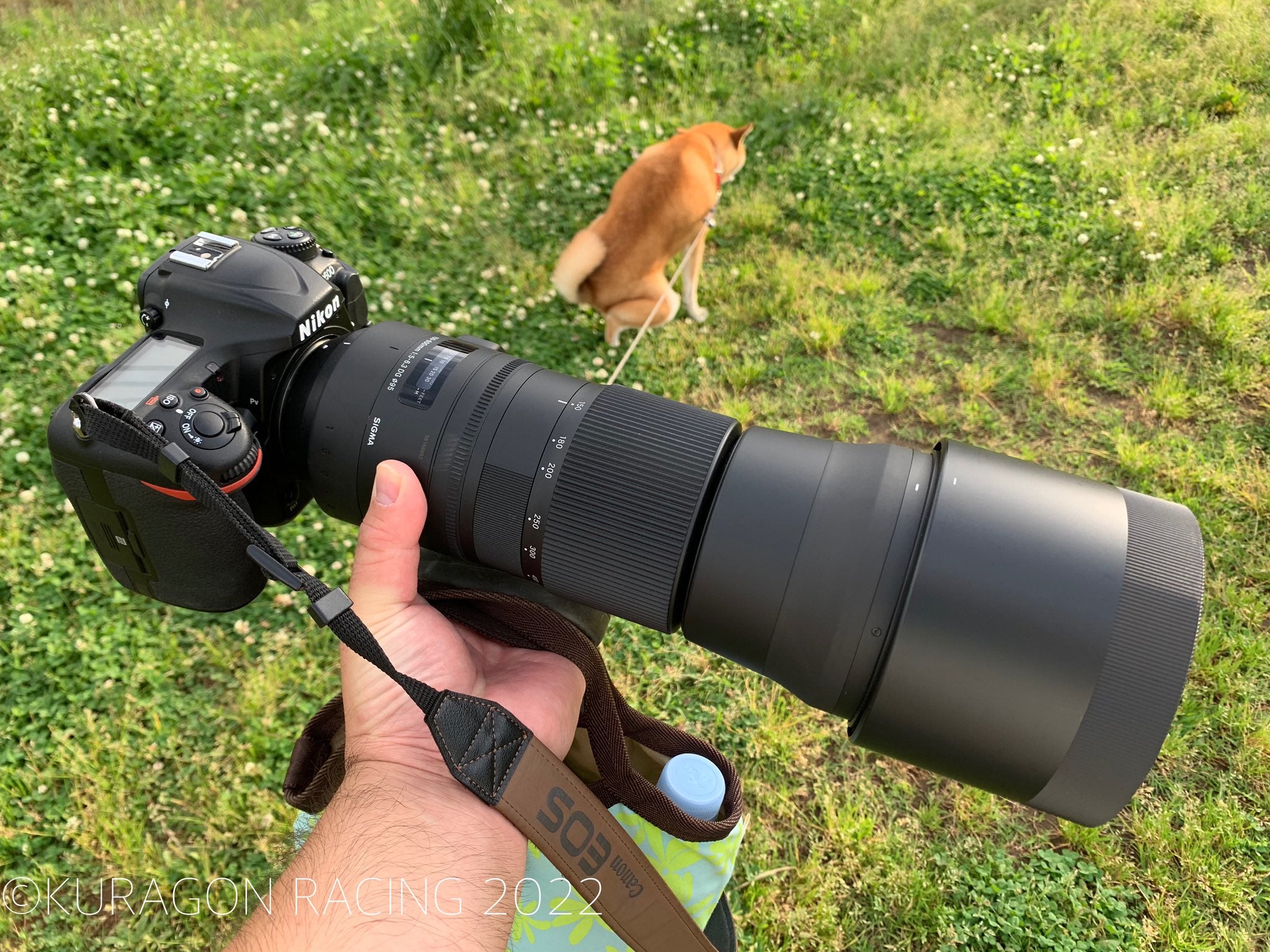 Nikon D500 + SIGMA 150-600mm F5-6.3 | クラゴン親方のRacing