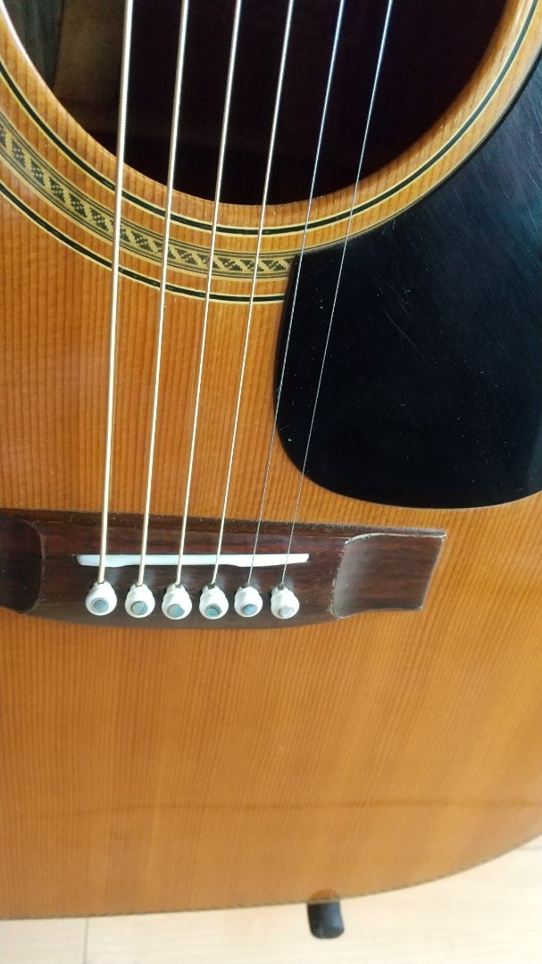 No:5 Kiso Suzuki W-350ハカランダ・トップ単板 | ゆずマンのギター