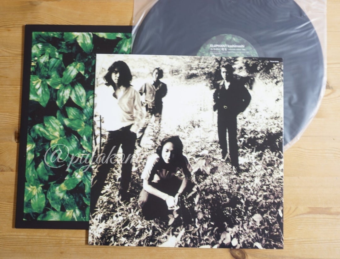 エレカシ アナログ『ココロに花を』(2022年11月3日発売