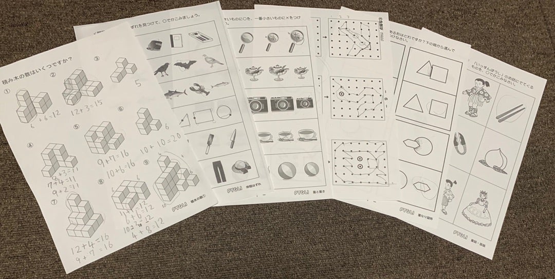 4歳2ヶ月17日 ピグマリオンワーク | 新小2男子 遊びと学びの観察日記