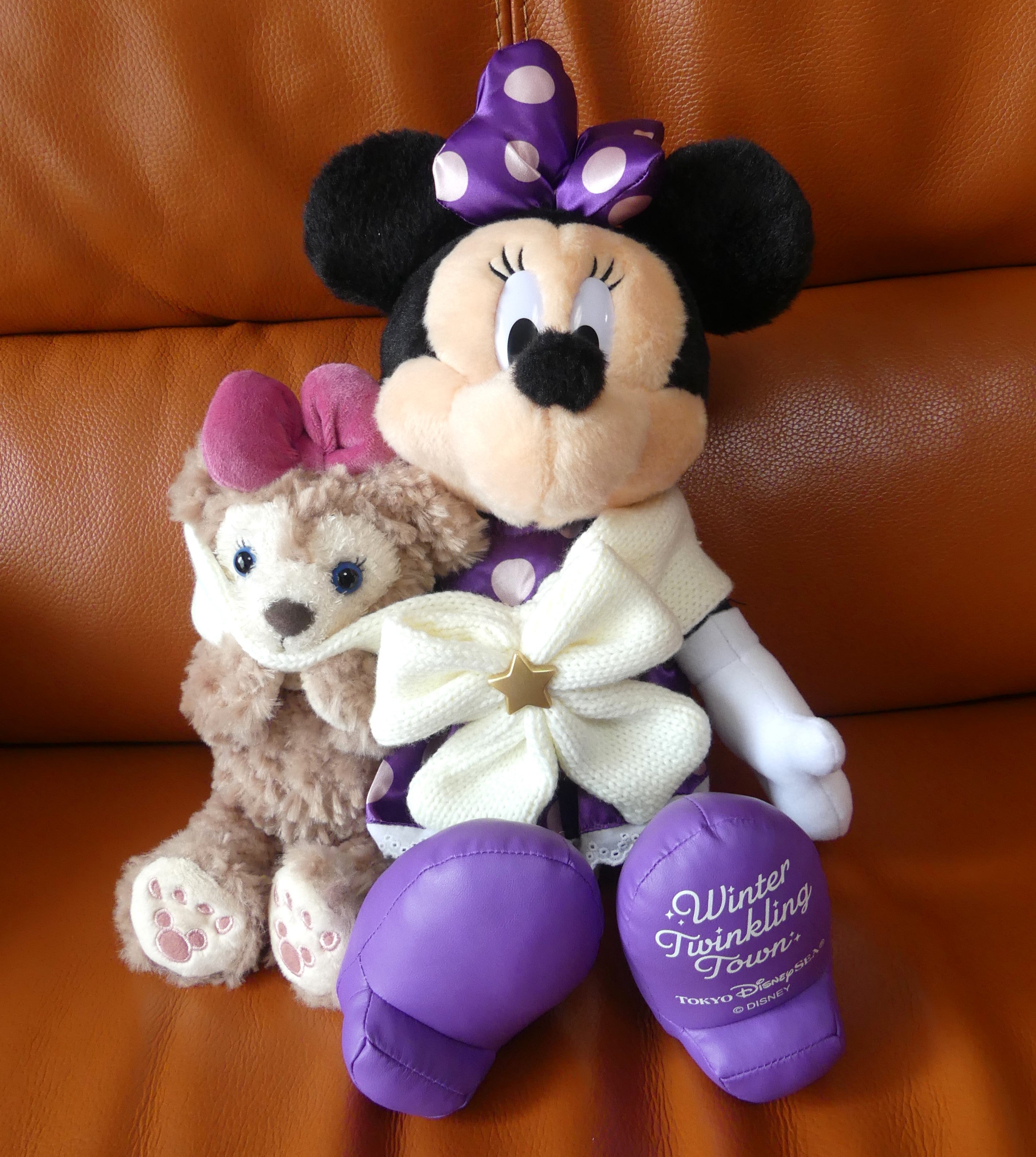 ﾀﾞｯﾌｨｰ&ﾌﾚﾝｽﾞのｳｨﾝﾀｰ・ﾄｩｲﾝｸﾘﾝｸﾞ・ﾀｳﾝ☆ﾐﾆｰ&ｼｪﾘｰﾒｲぬいぐるみ | Disney