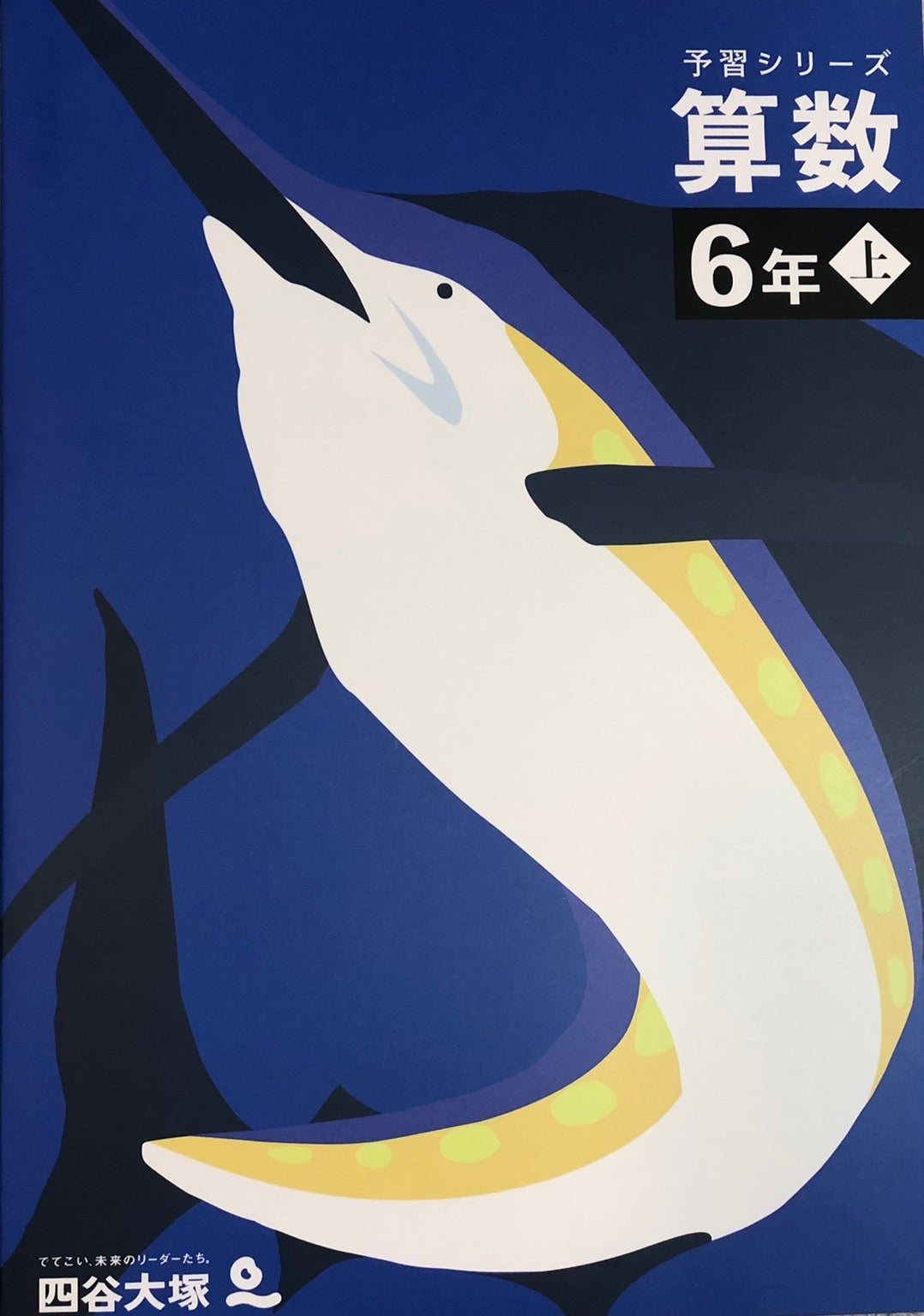 前編】「四谷大塚予習シリーズ6年上算数」をおまめが斬る！ | おまめの