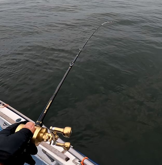 ロッド】シマノ タコエギXR-M175を使ってみた【インプレ】 | 剣崎沖で