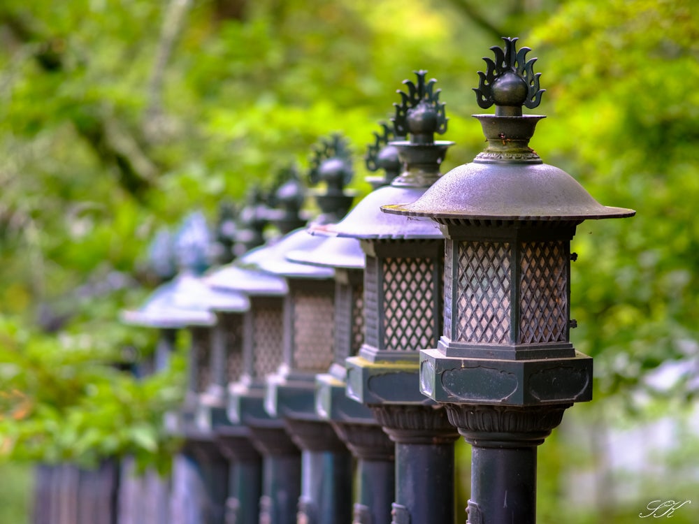 HASSELBLAD FE TELE-TESSAR 250mm f4 | SKの寫眞機道楽