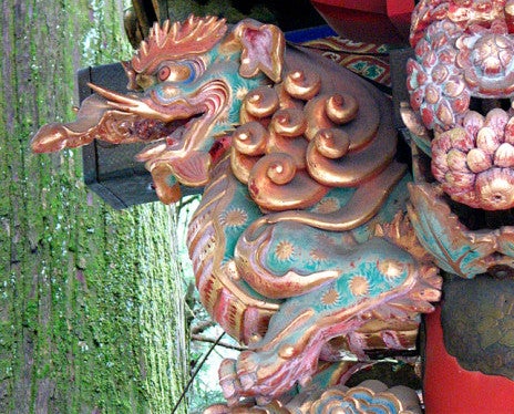 高藤晴俊著『図説 社寺建築の彫刻 東照宮に彫られた動植物』を読んで