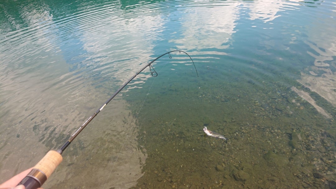 超個人的なロッドインプレッション ダーインスレイヴ ガイアブリッツ