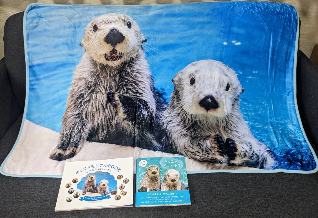 メイちゃん・キラちゃん、届いた〜！ | いんちきサファイア