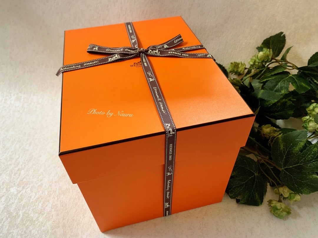 エルメス購入品♡バッグ | *｡☆ﾟ+ Nauru Blog +ﾟ☆｡*