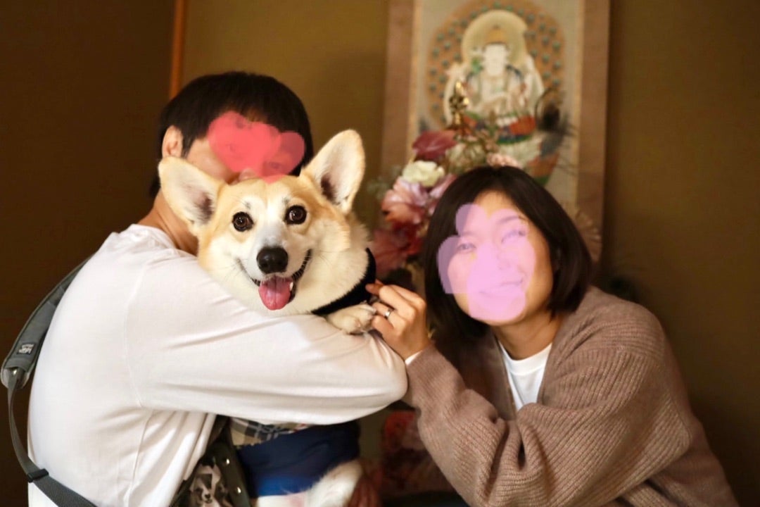 ロイヤルコーギーに変身 | ブログ・エフビーエックス☆コーギーのいる生活