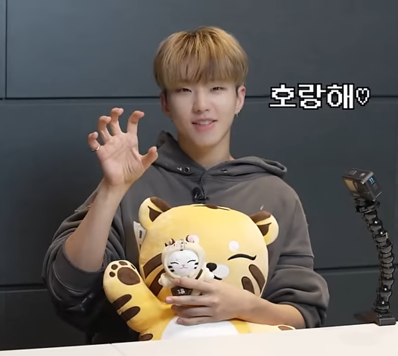 SEVENTEEN アーティストメイド ホシ タムタム キーリング 公式