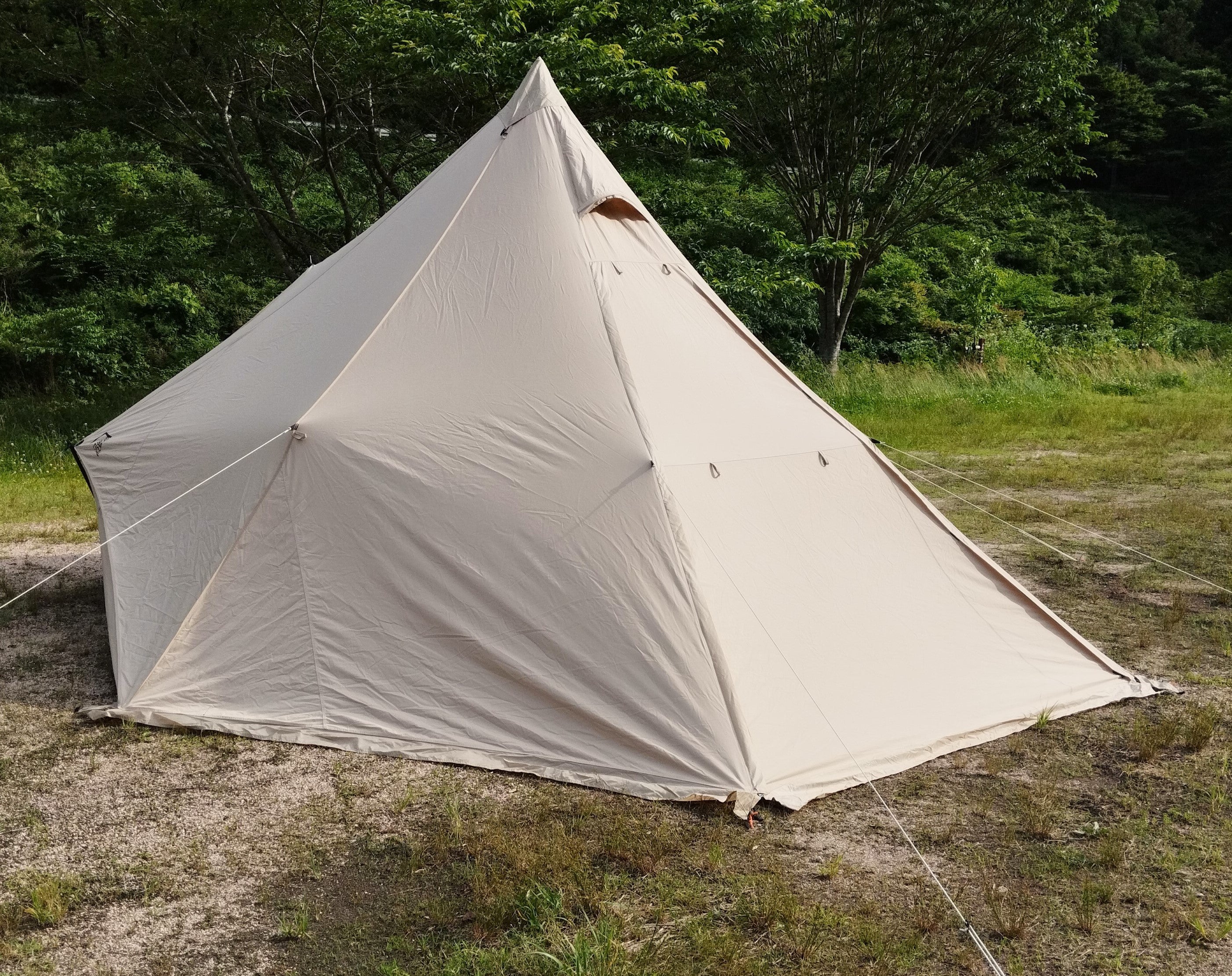 SABBATICAL MORNING GLORY TC | 僕の好きを綴る