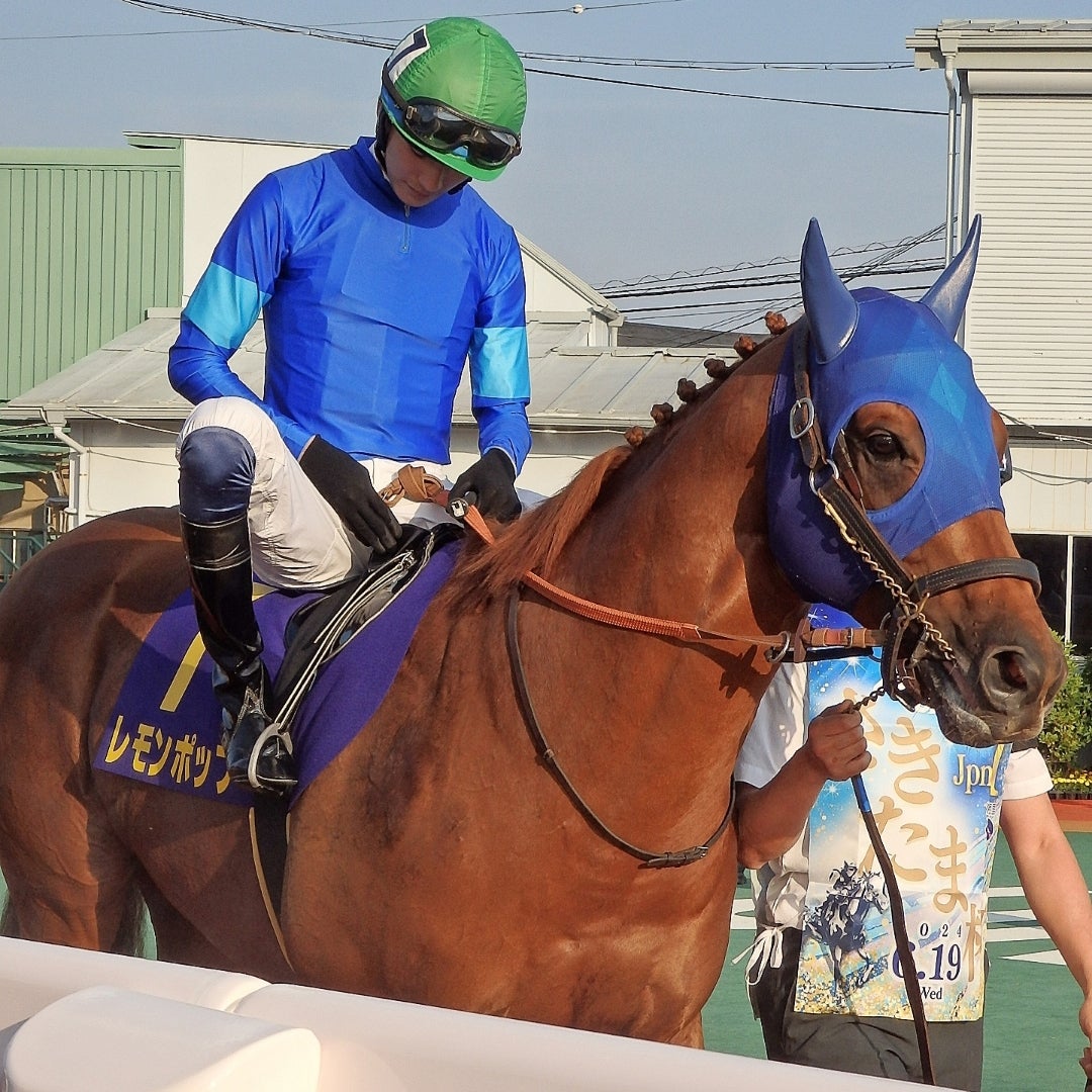 さきたま杯、レモンポップおめでとう！ | ゆいちーの馬ブログ～馬の