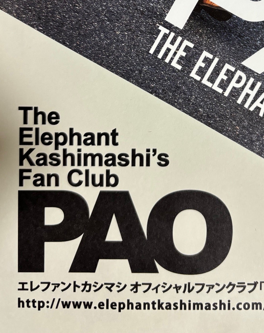 抱腹絶倒な “新生”PAO会報誌 | ノラ猫のらちゃん、海を越える