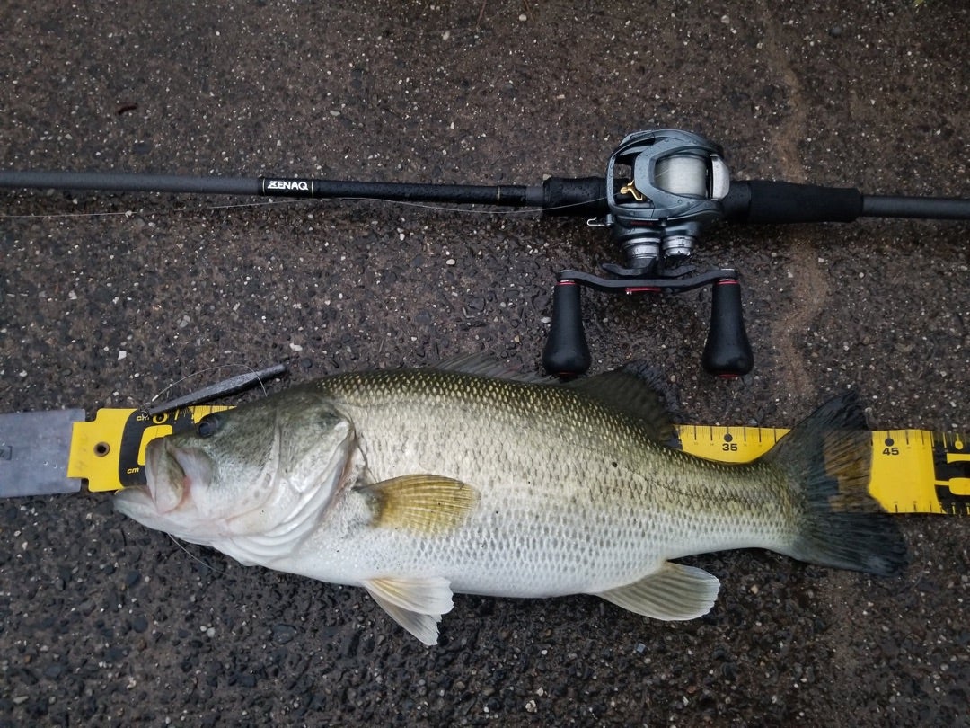 ゼナック スピラドブラッカートB4.5-72 琵琶スペック インプレ | た