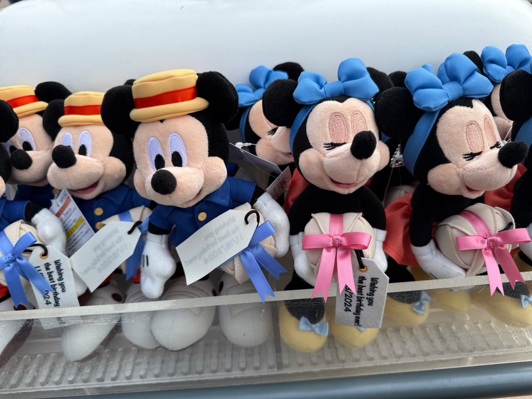 思わず一目惚れして購入しちゃったミッキーマウスとミニーマウスの