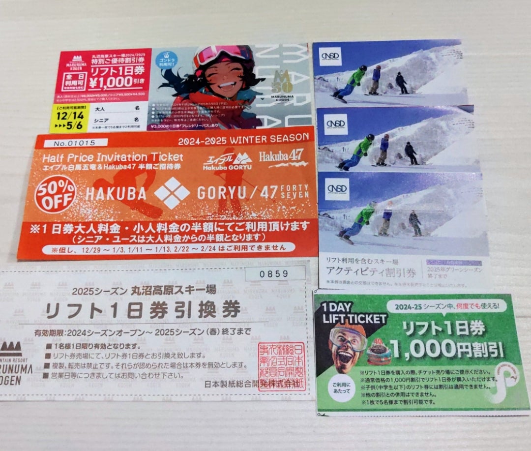 高鷲スノーパーク リフトICチケット2枚 50%OFF券2枚セット 高鷲スノー