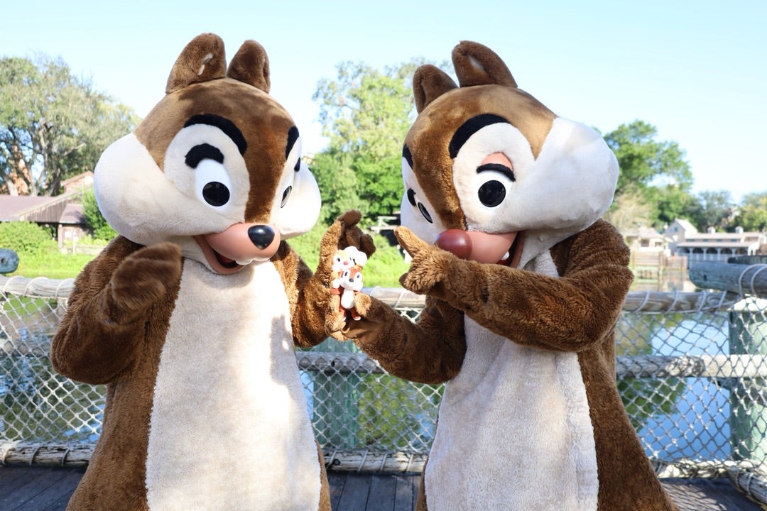 WDW旅2024【28】Day4:チップとデールにご挨拶 | 夢の備忘録〜yukaの旅log〜