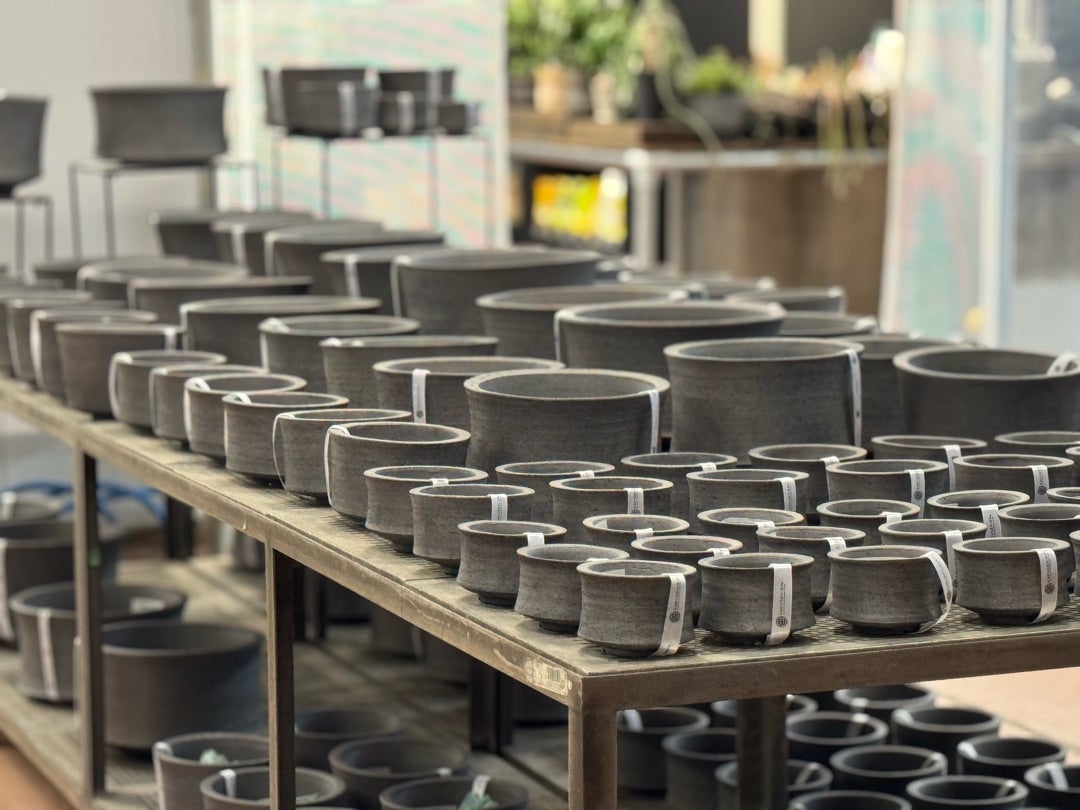 鶴仙園池袋店入荷情報‼️2025/1/5 | 鶴仙園 Official Blog