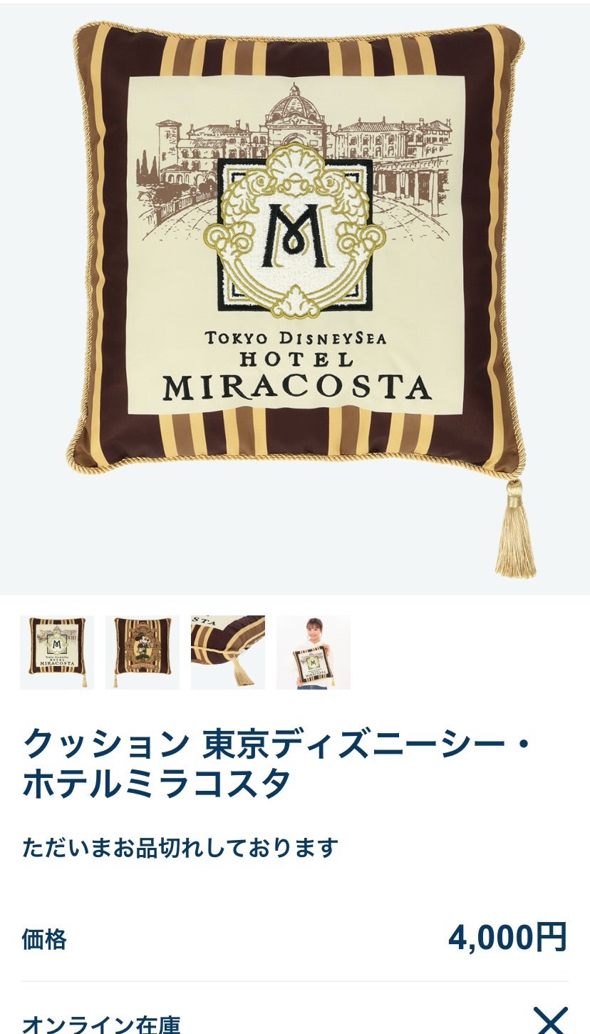 2025/2/22-3【Dホテルクッション】まずはアンバ、ランホ、ミラコ