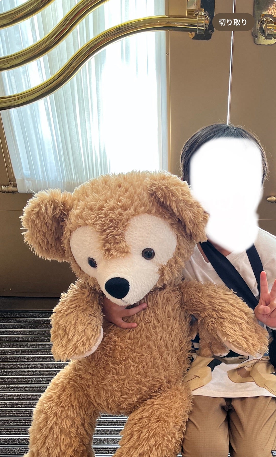 Mサイズダッフィーをお迎えしたい♡ | akiのディズニーを想うくらし