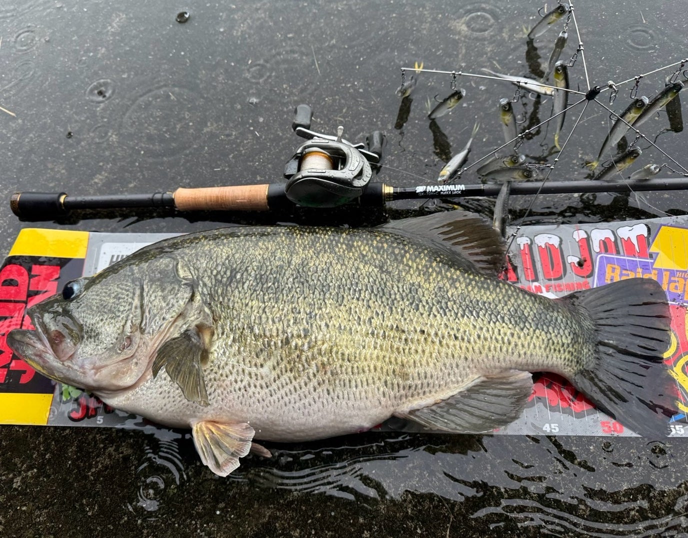 予約】レイドジャパン新作！マックスジャック/ザ・マックス改