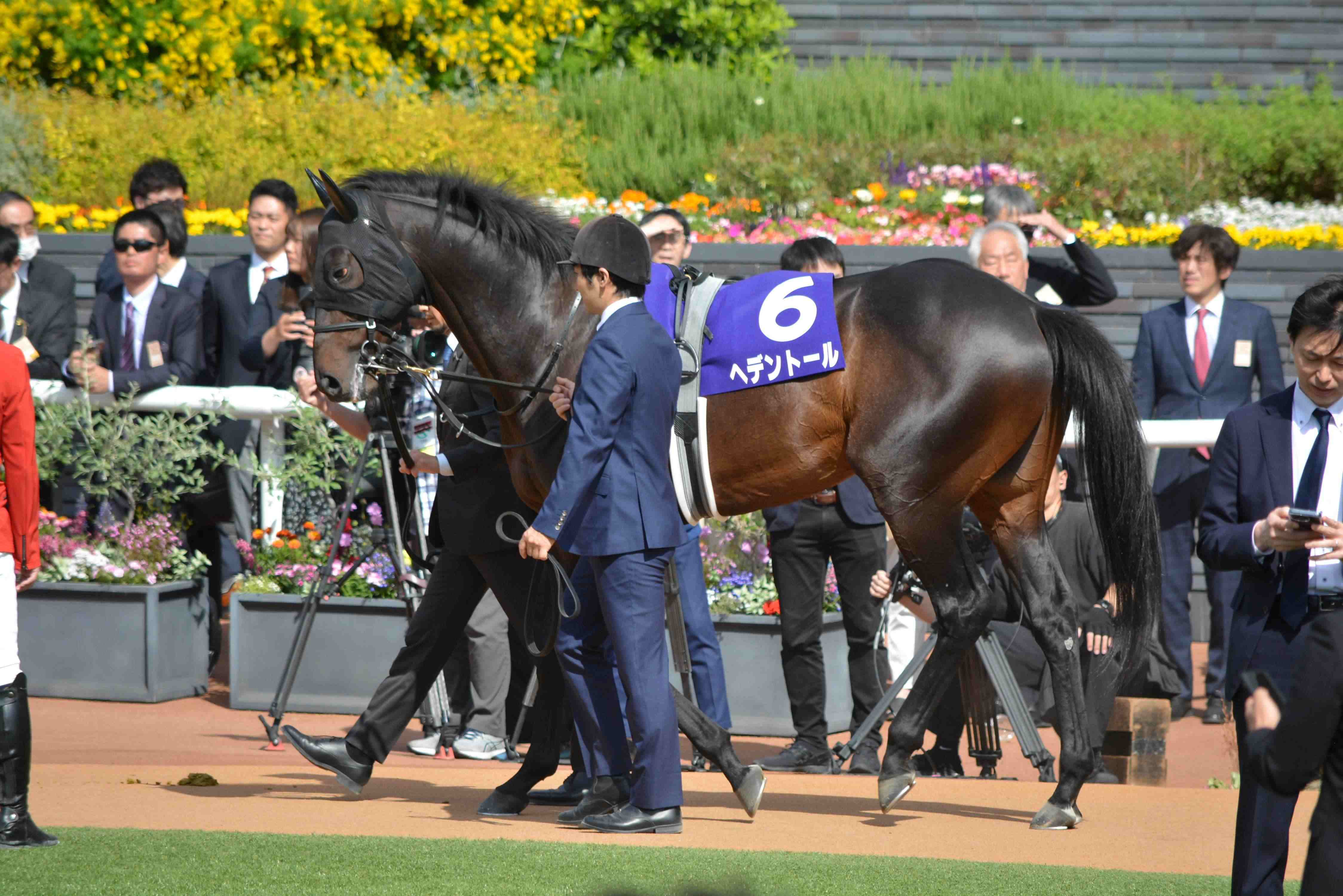 ヘデントール 天皇賞・春G1初制覇 | おぎ@一口馬主ブログ －愛馬のこと