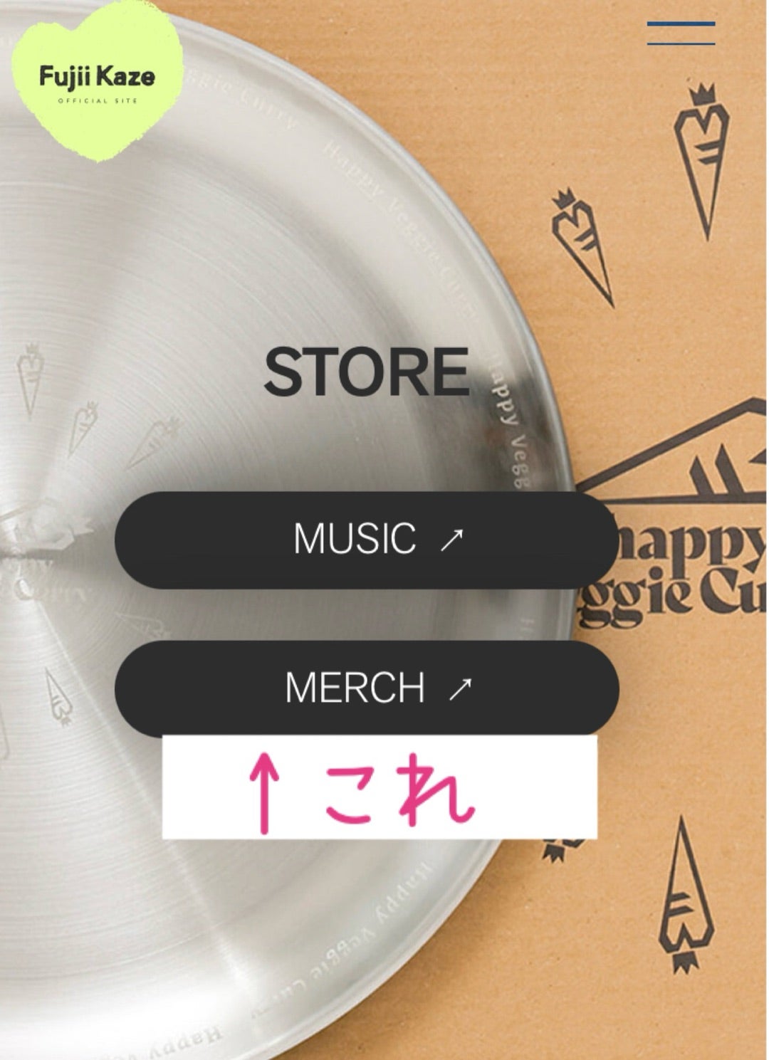 Fujii Kaze EU/NA TOUR 2025通販限定グッズ | 風に吹かれたkiyonのブログ