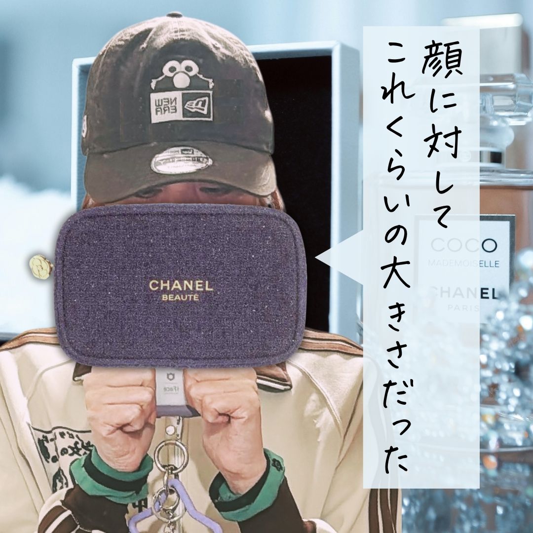 シャネルのポーチ やっぱりほしーーい | ララアンちゃん♡単なるコスメ