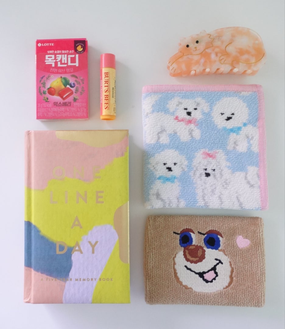 フェイラー新作】最速レビュー！争奪戦だったモフモフワンチャンの