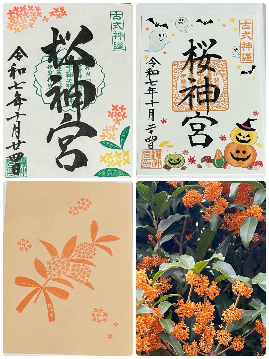 金木犀の咲き誇る｢桜神宮｣へ月参り→｢ソラマチ｣さんぽ | ～NEWS・加藤