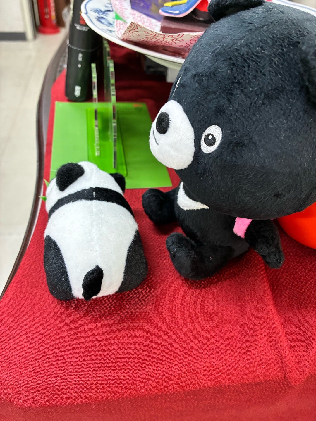 パンダの尻尾は白？それとも黒？ 福岡中国語教室 | 生徒様の最大限のご